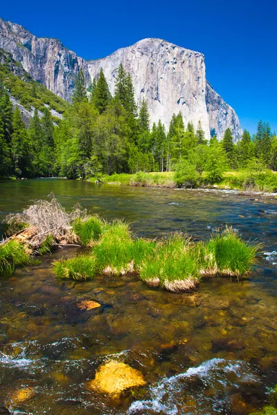 El Capitan рок і річка Мерсед у національному парку Йосеміті, Каліфорнія — стокове фото