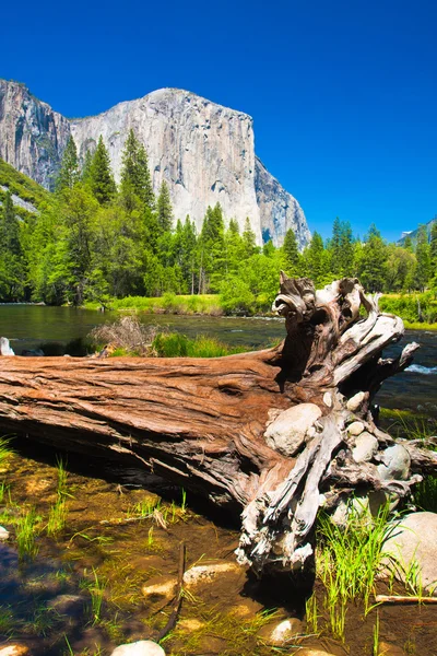 El capitan rock ve yosemite Milli Parkı, california merced Nehri — Stok fotoğraf