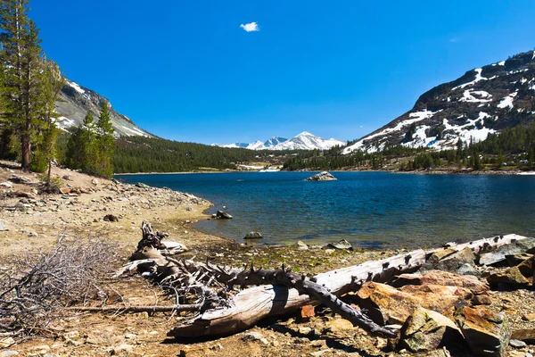 Schneebedeckte Berge und See im kalifornischen Yosemite-Nationalpark — Stockfoto