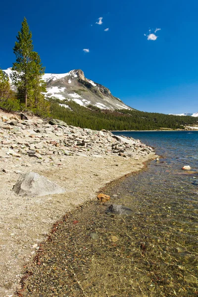 Schneebedeckte Berge und See im kalifornischen Yosemite-Nationalpark — Stockfoto