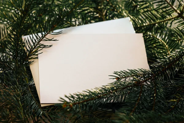 크리스마스 소나무 원추형 나무판에 새겨진 — 스톡 사진