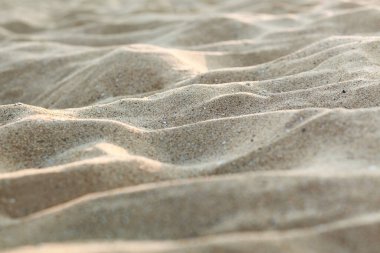 Sand on Sea Coast on Sunlight, Sand background, Sandy Texture, Sea Beach concept.