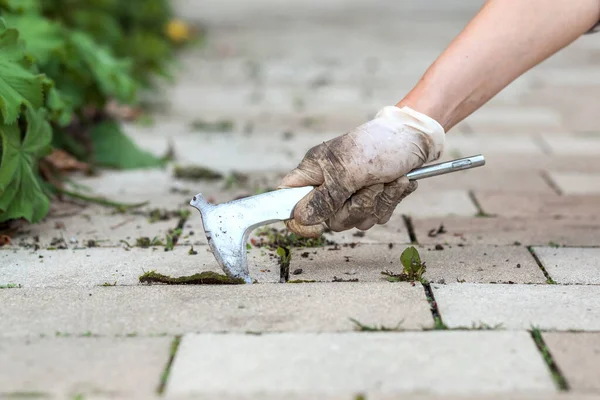 Removing Weed Pavement Tool Weed Removal Pavement — Stock Photo, Image