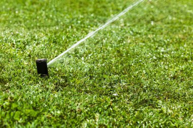 Fıskiye Sulama Çimi. Bahçede fıskiye sulama sistemi.