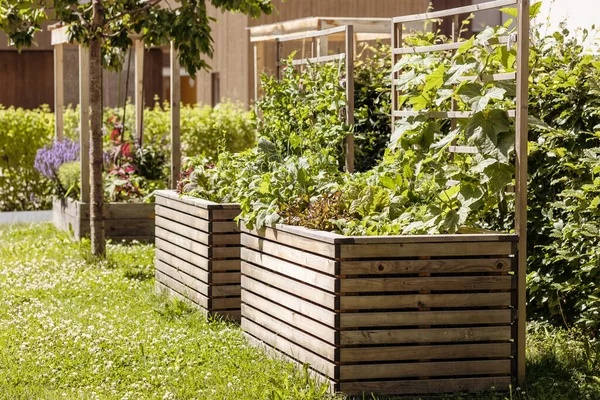 High Bed in Garden. Greenhouse Raised Bed with Vegetables outdoors. Modern growing and Gardening in Europe, Germany.