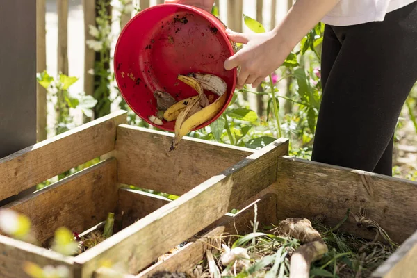 Compost Organic Waste Throwing Compost Bin Recycling Eco Fertilizer Sorting — Stock Photo, Image