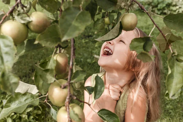 Apple Harvest for Children. Apple Tree Garden with Happy Child Little Girl.