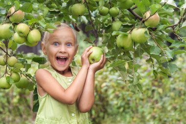 Apple Harvest for Children. Apple Tree Garden with Happy Child Little Girl. 