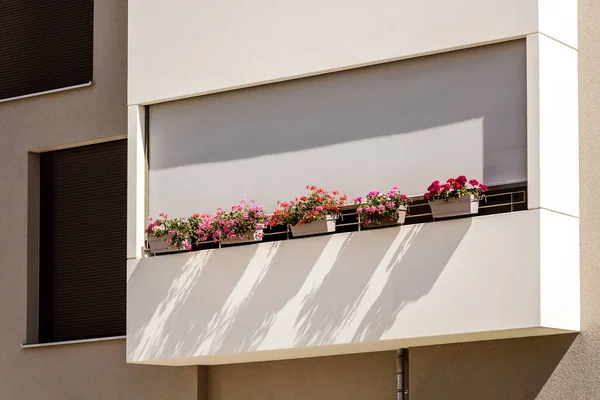 Balkón Květinami Vnějšími Okenicemi Moderní Zdobený Balkon Žaluziemi Fasádě Balkóny — Stock fotografie