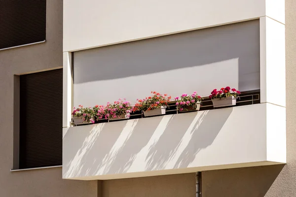 Flowers ve Harici Shutters 'lı balkon. Modern Süslü Balkon Ön Yüzü Perdeleri ile. Balkon Tekerlekli Panjurlar.