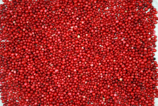 cowberries olgun çilek.
