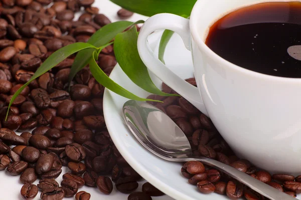 Cup of coffee with coffee beans — Stock Photo, Image