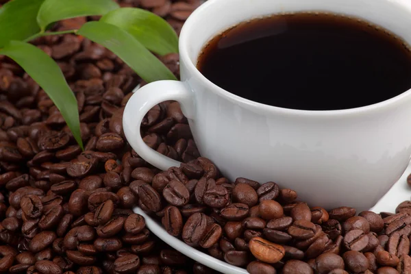 Cup of coffee with coffee beans — Stock Photo, Image