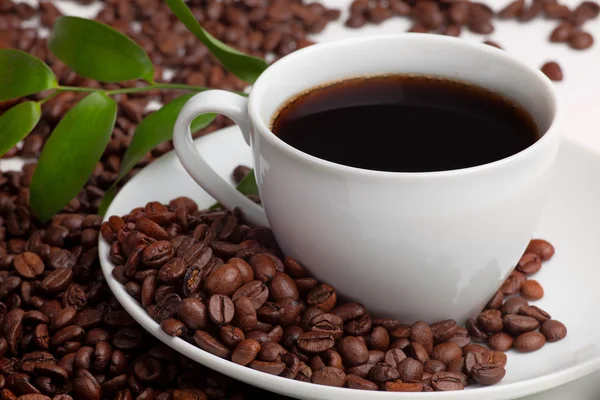 Cup of coffee with coffee beans — Stock Photo, Image