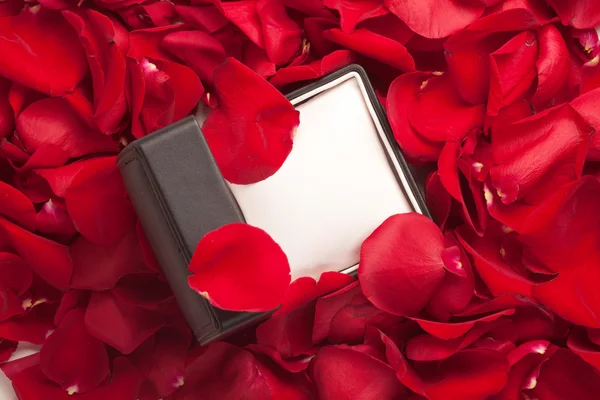 Rose Petals — Stock Photo, Image