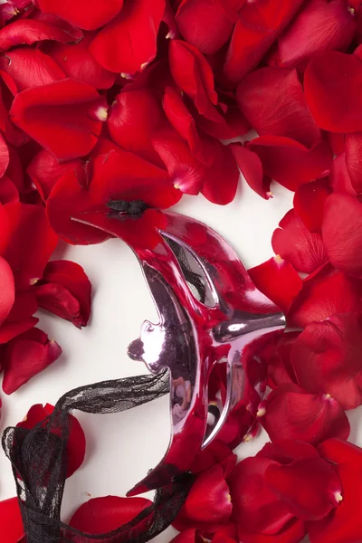 Rose Petals — Stock Photo, Image