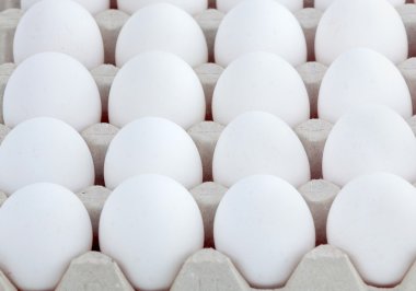 Beyaz yumurta