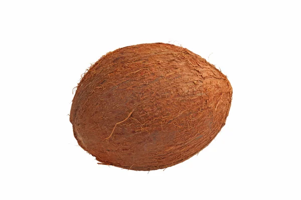 Coconut on the table — Stock Photo, Image