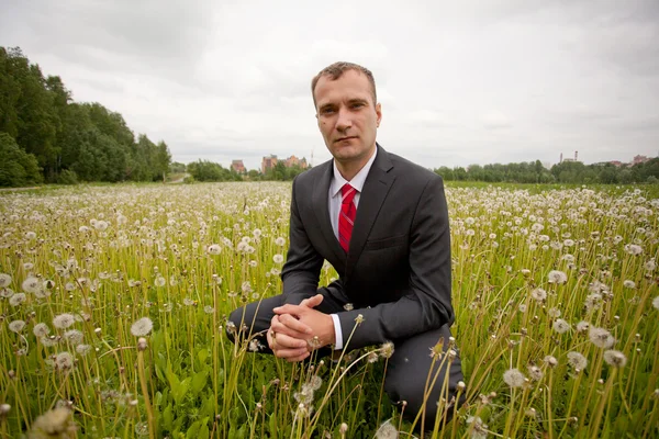 Porträtt av ung affärsman på en grön äng — Stockfoto