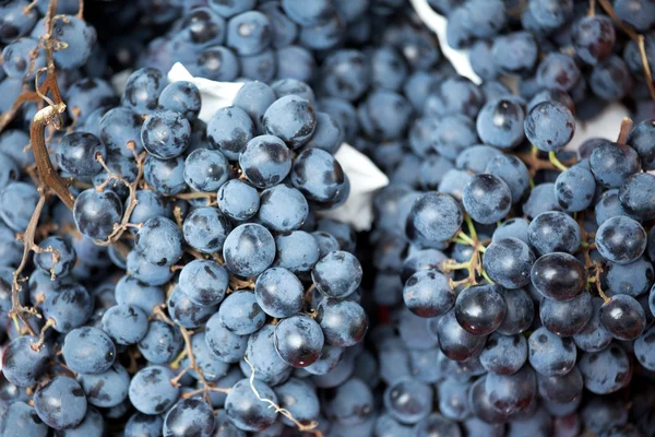 Fekete szőlő gyümölcs háttér — Stock Fotó