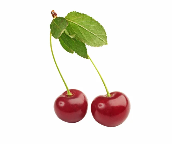 Two heart shaped cherry berries isolated on white background — Stock Photo, Image