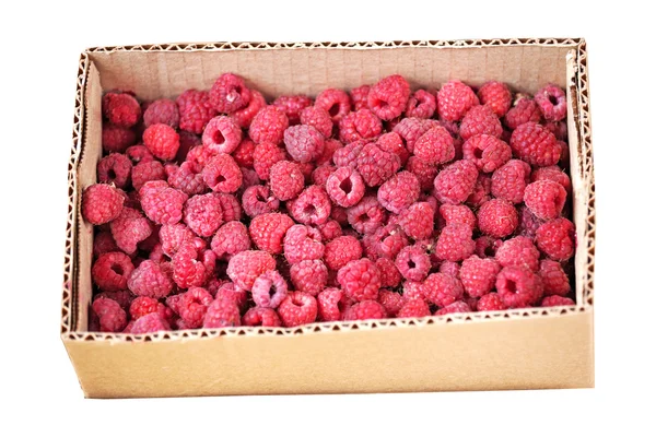 Raspberries in the cardboard box isolated on white background — Stock Photo, Image