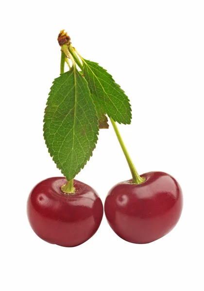 Zwei herzförmige Kirschbeeren isoliert auf weißem Hintergrund — Stockfoto