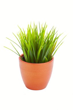 çim tesisi için kapalı