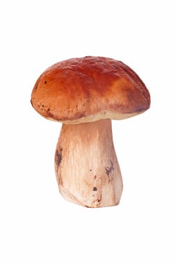 cep yalıtılmış