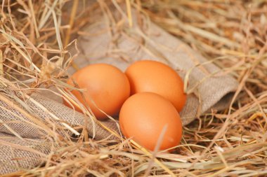 saman içinde üç yumurta