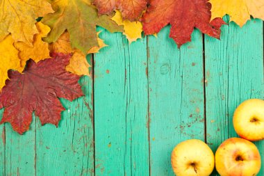 Sonbahar akçaağaç yaprakları