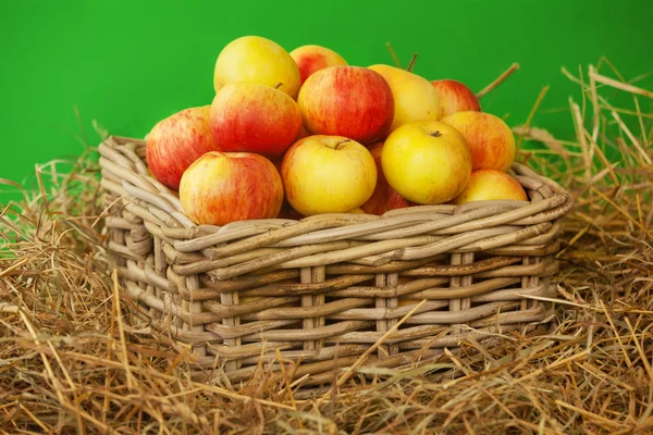 Äpplen korg på gröna — Stockfoto