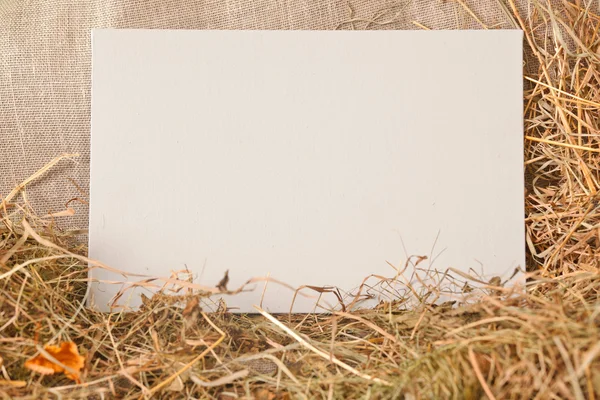 Tablero de tarjeta blanca —  Fotos de Stock