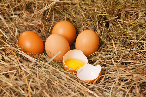 Свежие яйца
