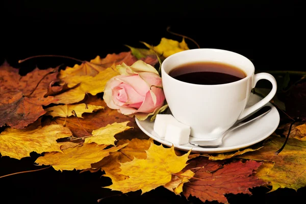 Taza blanca de té con rosa roja y hoja de arce —  Fotos de Stock