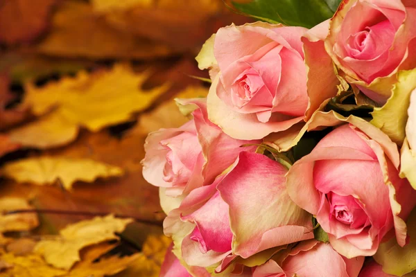 Barevné podzimní kytice — Stock fotografie