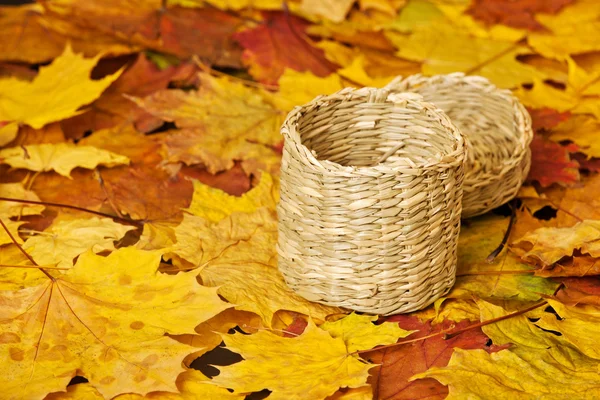 Empty basket on autumn leaves — Stock Photo, Image