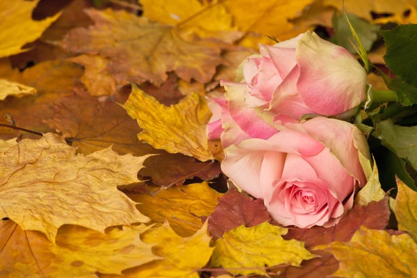 Bunter Herbstblumenstrauß — Stockfoto
