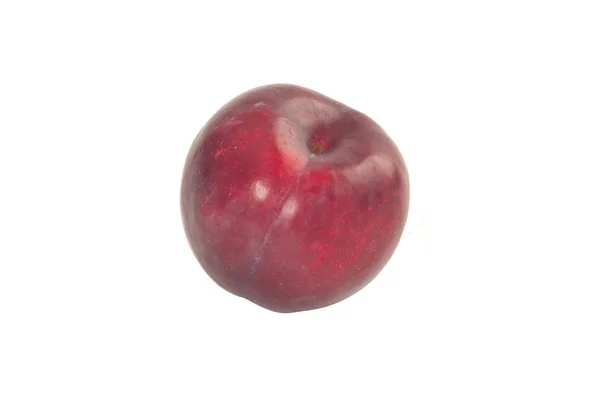 Red plum isolated — Stock Photo, Image
