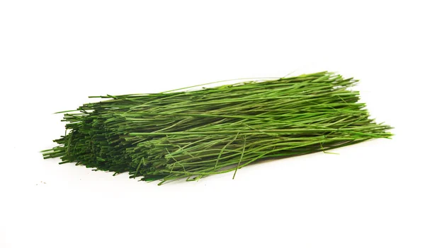 Травяная капуста — стоковое фото