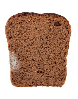 küflü ekmek