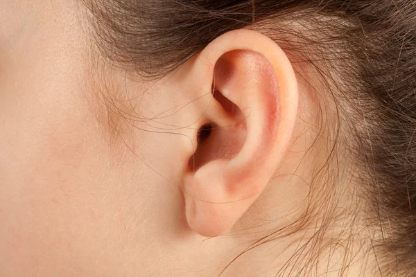 Woman ear — Stock Photo, Image