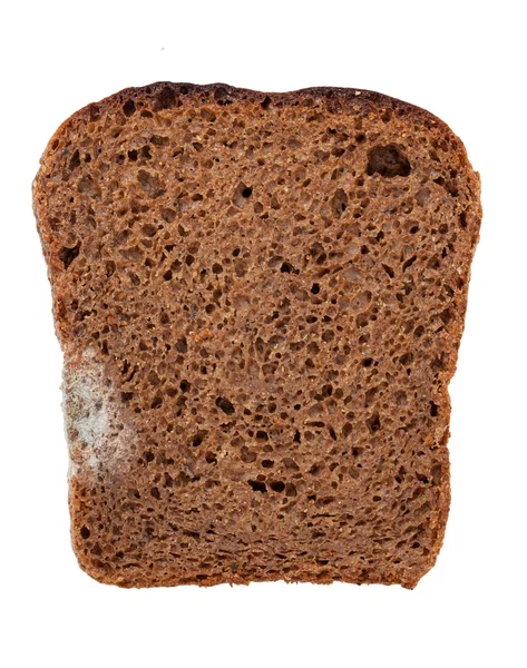 Schimmeliges Brot — Stockfoto