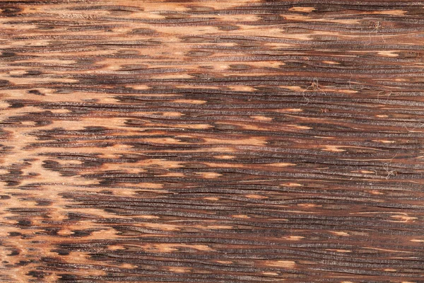 Texture en bois — Photo