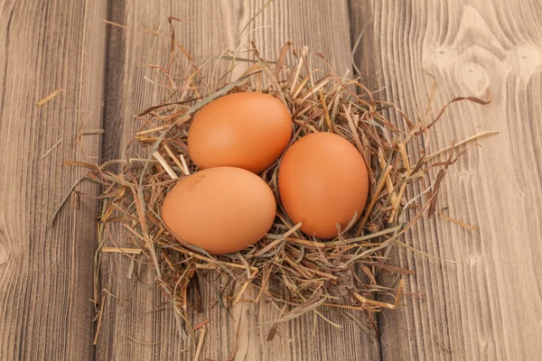 Oeufs de Pâques dans un nid — Photo