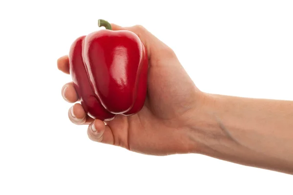 Mano sosteniendo un pimiento rojo aislado sobre un fondo blanco — Foto de Stock