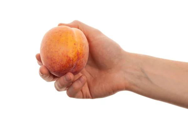 Hand with a red peach isolated on a white background — Stock Photo, Image