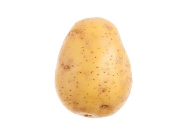 Tek taze patates. Beyaz arka plan üzerinde izole. yakın çekim stud