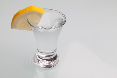 bir bardak votka gay özgeçmişlerine izole limon. yakın çekim s