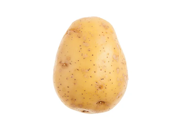 Single fresh potato. Isolated on white background. Close-up stud — Stock Photo, Image